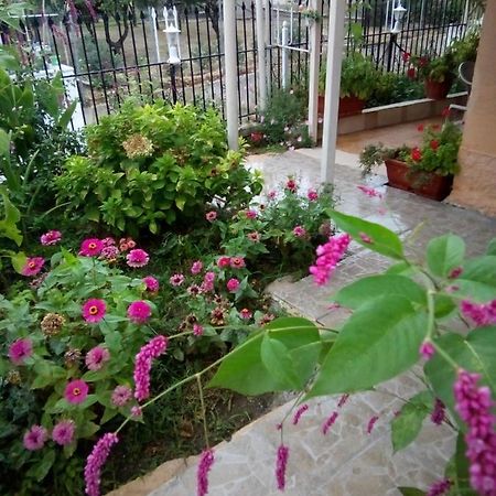 Villa Angela, Traditional Villa In The Village Agios Ioannis Peristeron  Ngoại thất bức ảnh